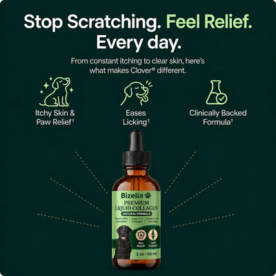 Stop Managing The Itch with Cold-Pressed Collagen
