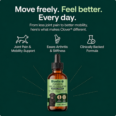 Move More Comfortably with Liquid Collagen