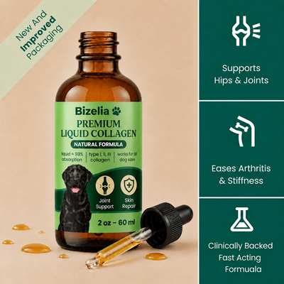 Move More Comfortably with Liquid Collagen