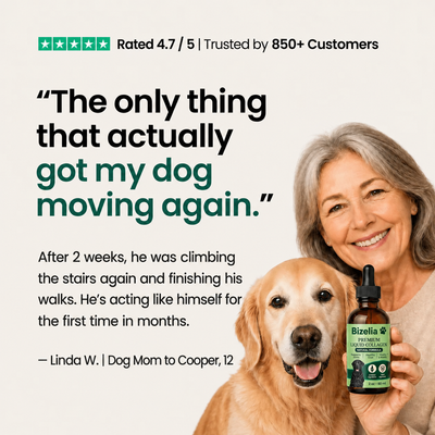 Move More Comfortably with Liquid Collagen